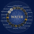 Water(Wrist Circumference: 14-16cm) / 12mm