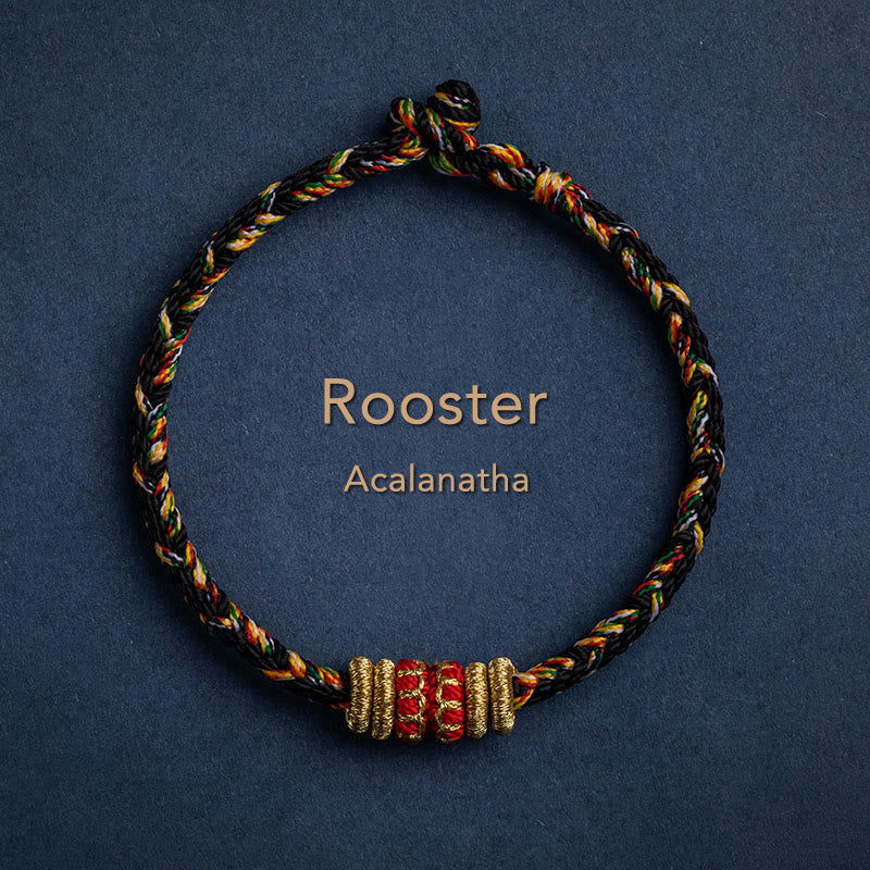 KarmaRipple's Tibet Handmade Chinese Zodiac Natal Buddha Fortune Strength Woven String Bracelet p7