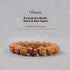 10mm / Rudraksha Bodhi Seed & Red Agate