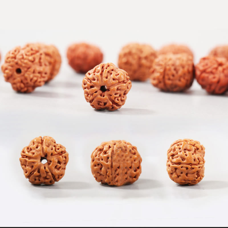 KarmaRipple's Tibet Rudraksha Bodhi Seed Wealth Auspiciousness Bracelet p14