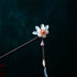 Plum Flower