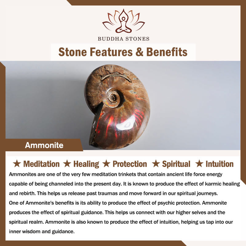 KarmaRipple's Authentic Ammonite Fossil Snail Pattern Meditation Balancing Pendant Necklace p9