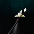 White Flower