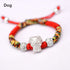 Dog-Colorful Rope(Bracelet Size 12+4cm)